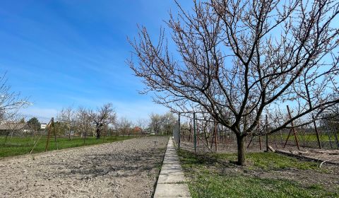 Sale Land – for living, Land – for living, Dunajská Streda, Slovakia