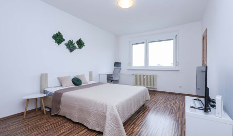 Rent Studio, Studio, Drobného, Bratislava - Dúbravka, Slovakia