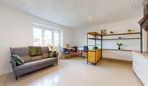 BA-OLD TOWN- 1.5-room apartment for rent near Trnavský Mýto-UNITAS