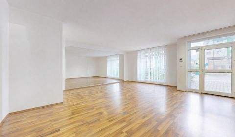 Nonresidential space suitable for various purposes