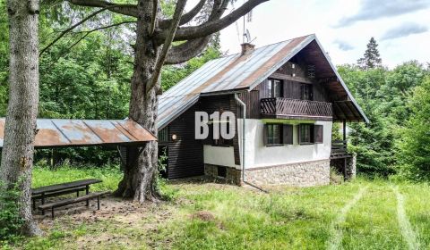 Sale Cottage, Cottage, Brezno, Slovakia