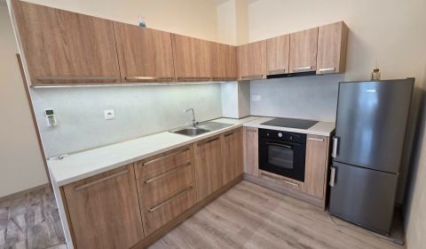 Rent One bedroom apartment, One bedroom apartment, Hollého, Šaľa, Slov