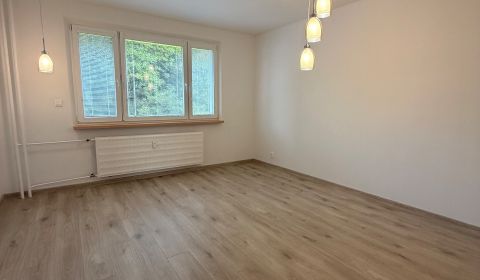 Rent One bedroom apartment, One bedroom apartment, Starohorská, Banská