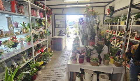 Sale Commercial premises, Commercial premises, Trnavská cesta, Senec, 