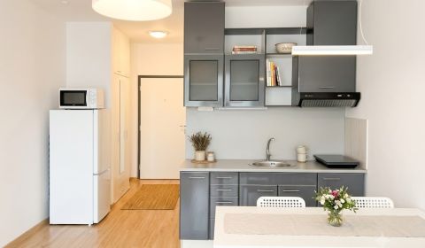 Rent Single studio, Single studio, Zuzany Chalupovej, Bratislava - Pet