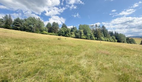 Sale Land – for living, Land – for living, Trstená, Čadca, Slovakia