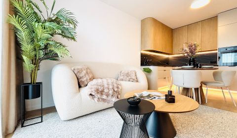 Sale One bedroom apartment, One bedroom apartment, Bernolákovská, Sene