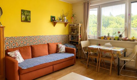 Sale One bedroom apartment, One bedroom apartment, Studenohorská, Brat