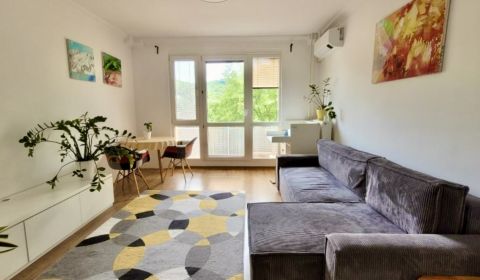 Rent Two bedroom apartment, Two bedroom apartment, Teplická, Bratislav
