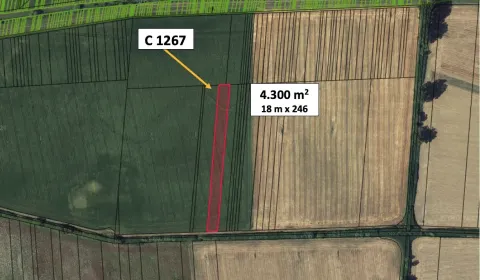 Sale Agrarian and forest land, Lučenec, Slovakia