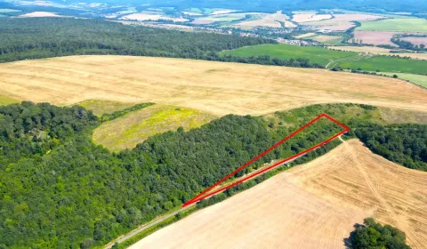 Sale Agrarian and forest land, Košice-okolie, Slovakia