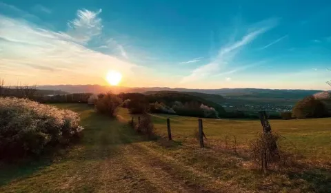 Sale Agrarian and forest land, Trenčín, Slovakia