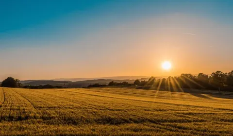 Sale Agrarian and forest land, Sobrance, Slovakia