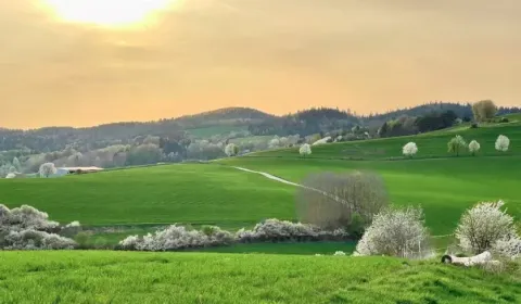 Sale Agrarian and forest land, Banská Bystrica, Slovakia