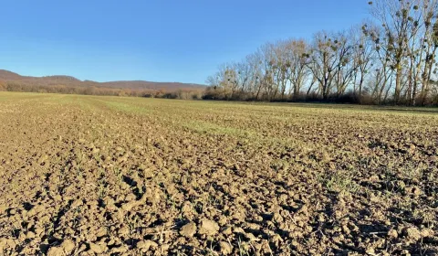 Sale Agrarian and forest land, Michalovce, Slovakia