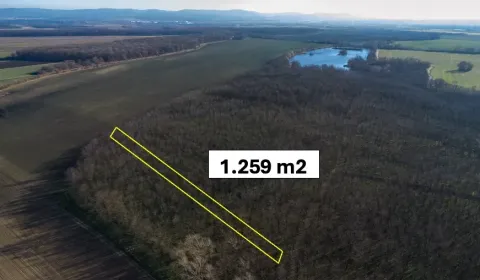Sale Agrarian and forest land, Malacky, Slovakia