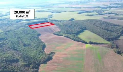 Sale Agrarian and forest land, Veľký Krtíš, Slovakia
