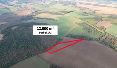 Sale Agrarian and forest land, Veľký Krtíš, Slovakia
