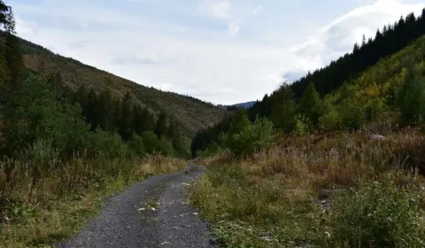 Sale Agrarian and forest land, Prievidza, Slovakia