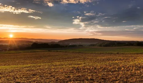 Sale Agrarian and forest land, Trebišov, Slovakia