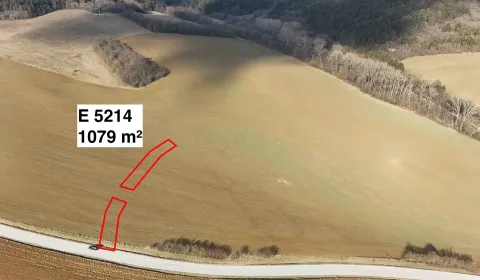 Sale Agrarian and forest land, Nové Mesto nad Váhom, Slovakia