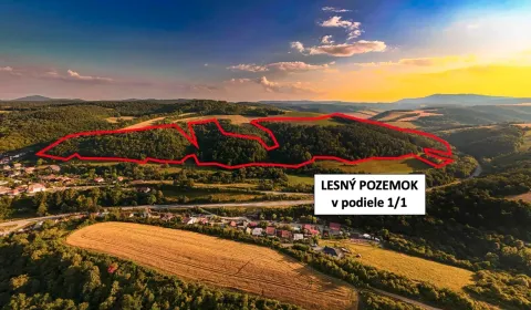 Sale Agrarian and forest land, Prešov, Slovakia