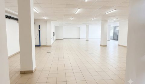 Rent Commercial premises, Commercial premises, Strojárska, Snina, Slov