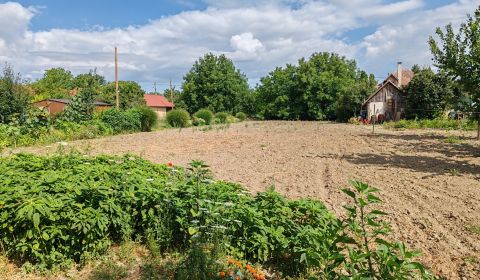 Sale Gardens, Gardens, Komárno, Slovakia