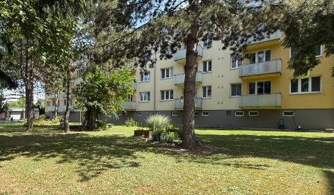 Sale Two bedroom apartment, Two bedroom apartment, Pred poľom, Trenčín