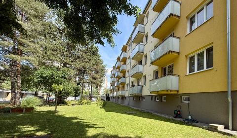 Sale Two bedroom apartment, Two bedroom apartment, Pred poľom, Trenčín