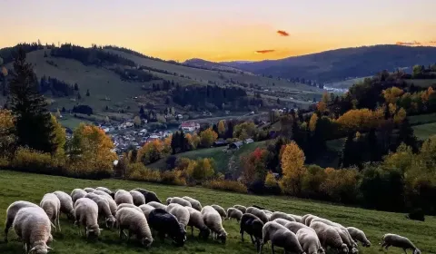 Sale Agrarian and forest land, Brezno, Slovakia