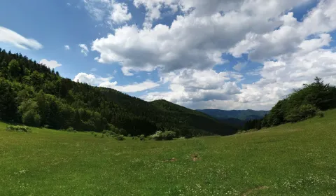 Sale Agrarian and forest land, Prievidza, Slovakia