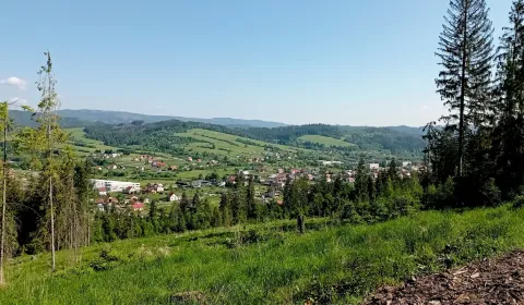 Sale Agrarian and forest land, Čadca, Slovakia