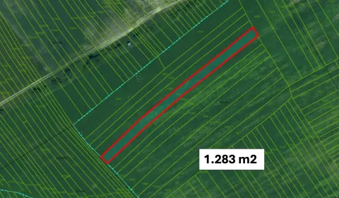 Sale Agrarian and forest land, Senica, Slovakia
