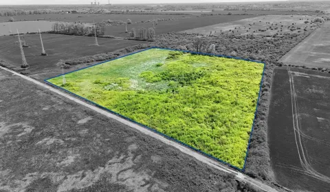 Sale Agrarian and forest land, Michalovce, Slovakia