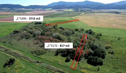 Sale Agrarian and forest land, Senica, Slovakia