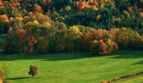 Sale Agrarian and forest land, Krupina, Slovakia