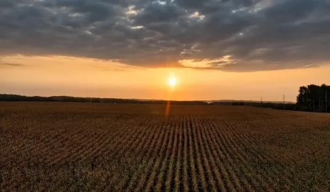 Sale Agrarian and forest land, Sobrance, Slovakia