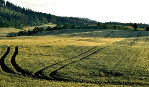 Sale Agrarian and forest land, Košice-okolie, Slovakia