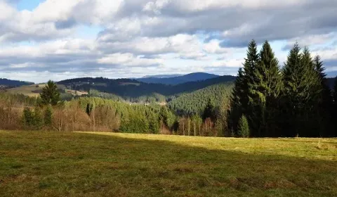Sale Agrarian and forest land, Čadca, Slovakia