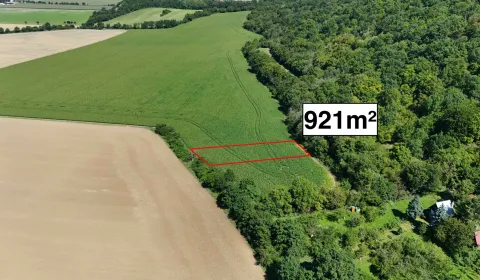 Sale Agrarian and forest land, Nové Mesto nad Váhom, Slovakia