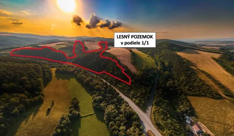 Sale Agrarian and forest land, Prešov, Slovakia