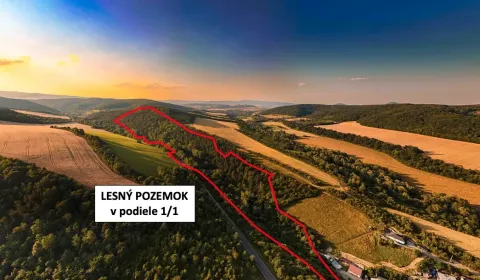 Sale Agrarian and forest land, Prešov, Slovakia