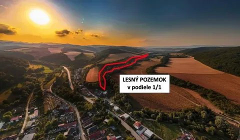 Sale Agrarian and forest land, Prešov, Slovakia