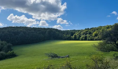 Sale Agrarian and forest land, Žiar nad Hronom, Slovakia