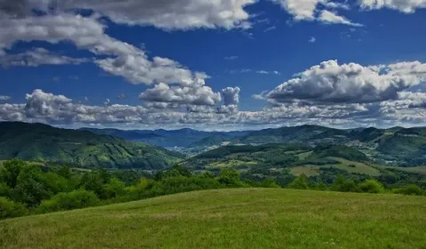 Sale Agrarian and forest land, Žarnovica, Slovakia