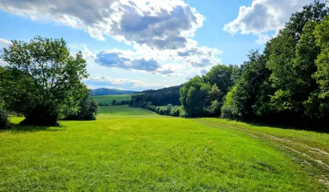 Sale Agrarian and forest land, Michalovce, Slovakia