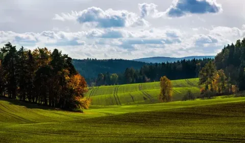 Sale Agrarian and forest land, Michalovce, Slovakia