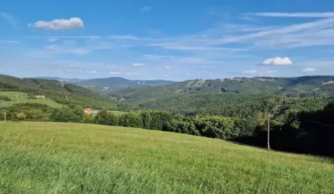 Sale Agrarian and forest land, Trenčín, Slovakia