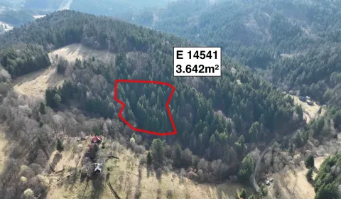 Sale Agrarian and forest land, Púchov, Slovakia